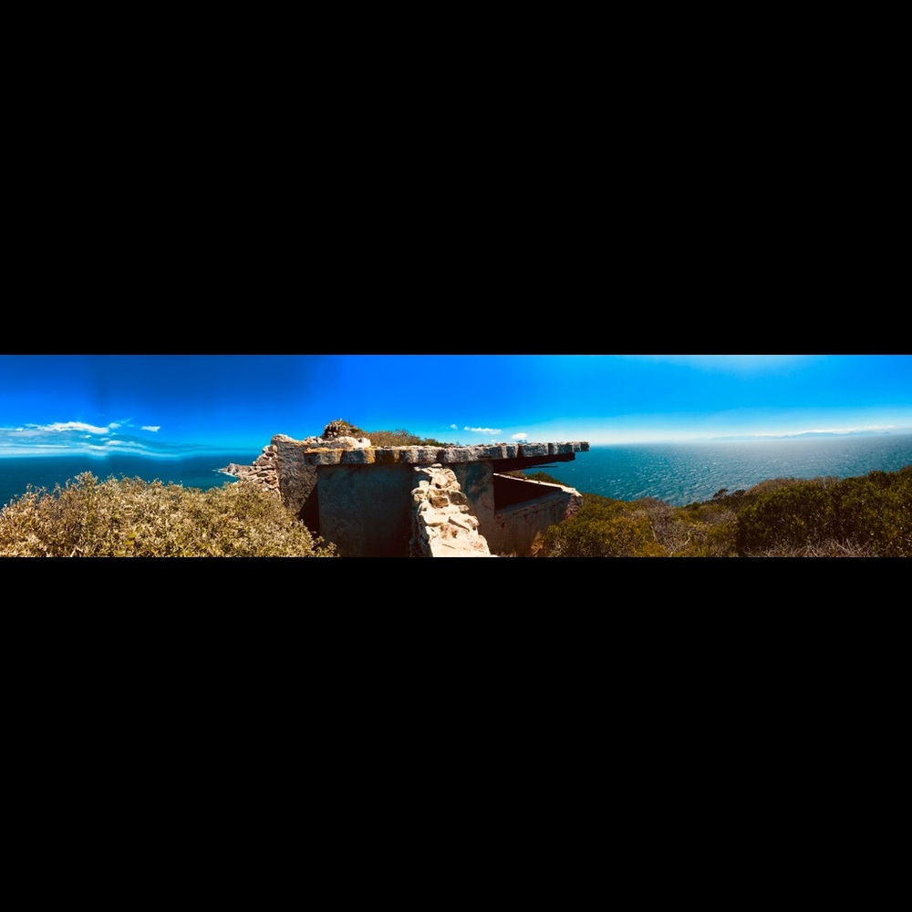 Meet your Posher, Lena